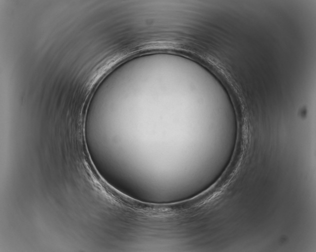 X0000116301129200912141329