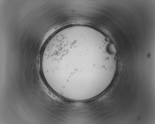 X0000116301130200912141329