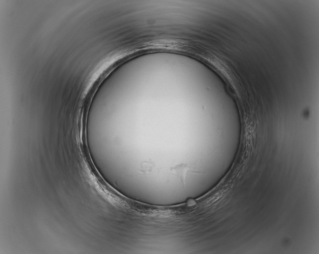 X0000116301131200912141329