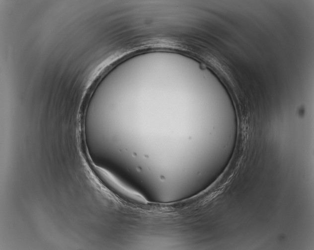 X0000116301133200912141329