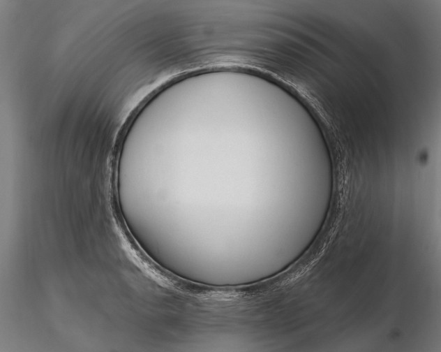 X0000116301134200912141329