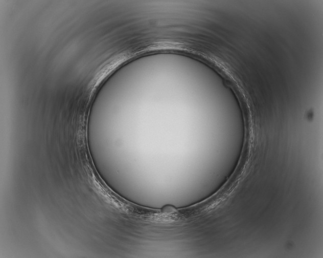 X0000116301137200912141329