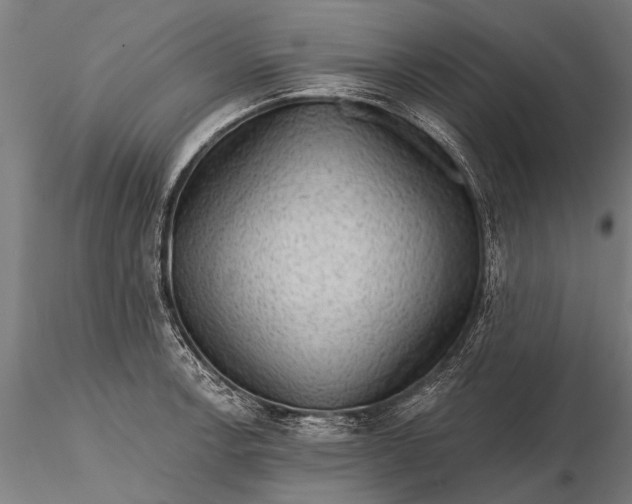 X0000116301138200912141329