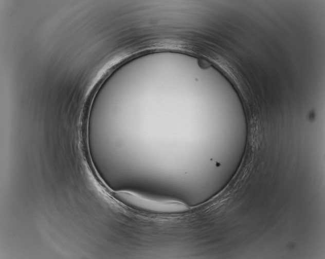 X0000116301139200912141329