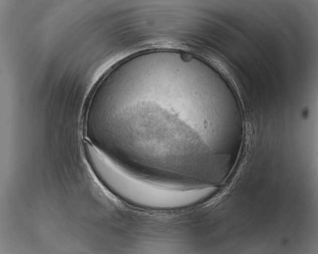 X0000116301141200912141329