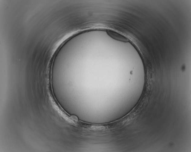 X0000116301142200912141329