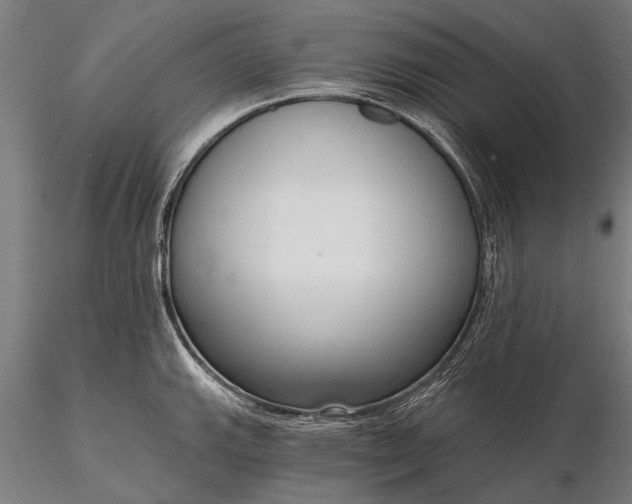 X0000116301143200912141329