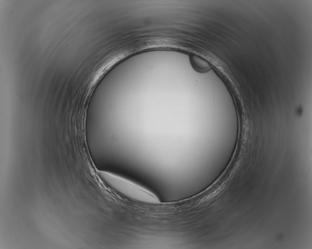 X0000116301145200912141329