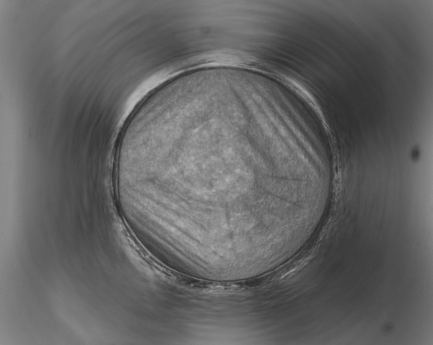 X0000116301146200912141329