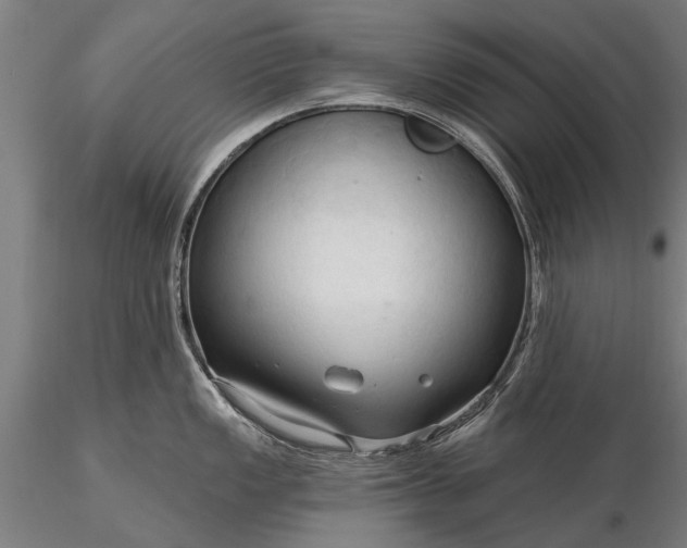 X0000116301149200912141329