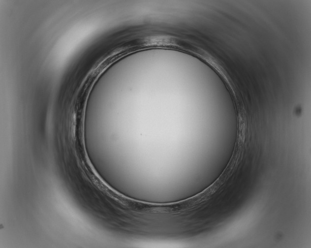 X0000116301151200912141329