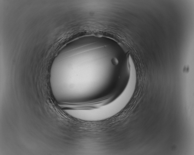 X0000116301153200912141328