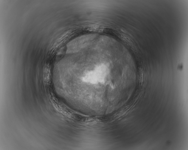 X0000116301154200912141328