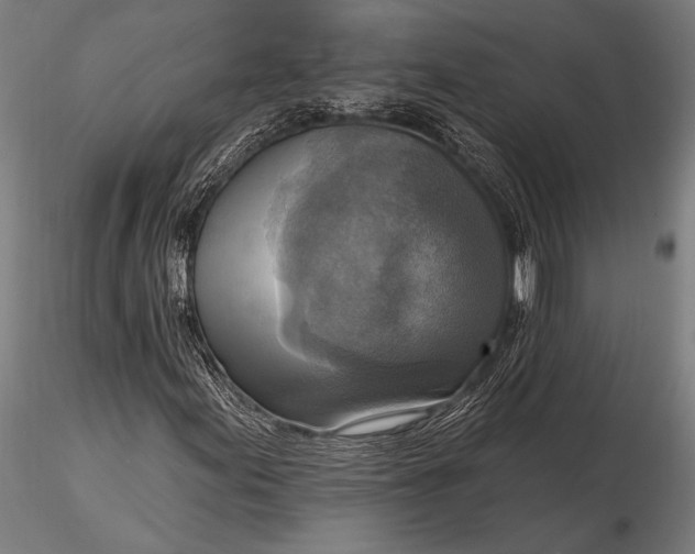 X0000116301155200912141328