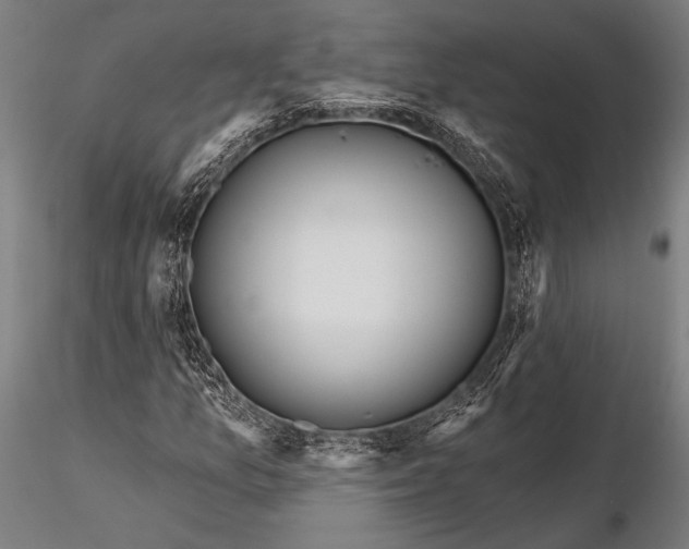 X0000116301157200912141328