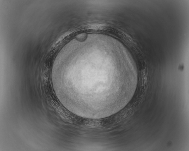 X0000116301158200912141328