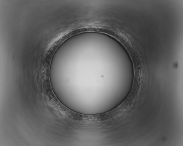 X0000116301159200912141328