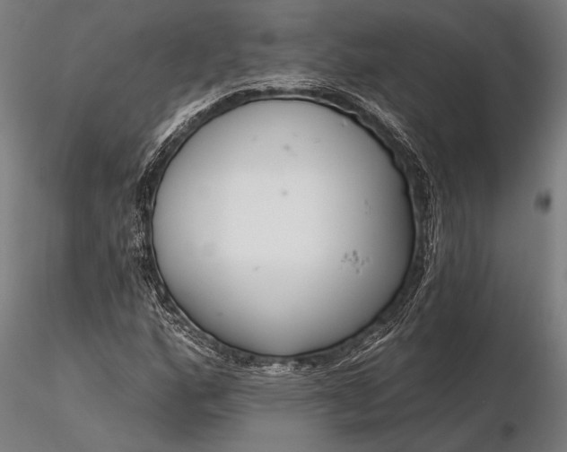 X0000116301160200912141328