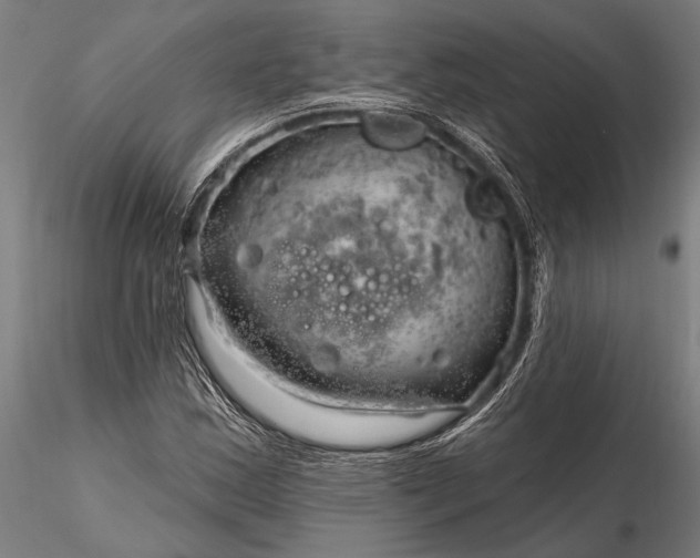 X0000116301163200912141328