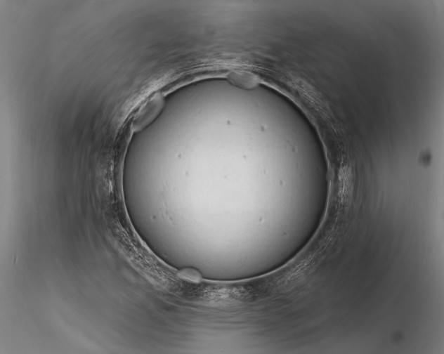 X0000116301165200912141328