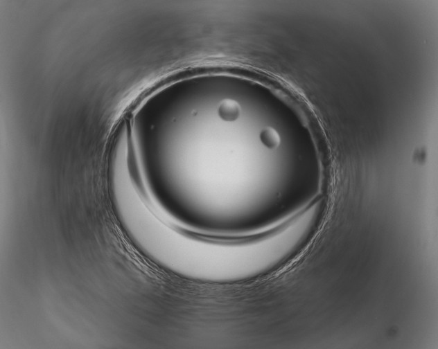 X0000116301167200912141328