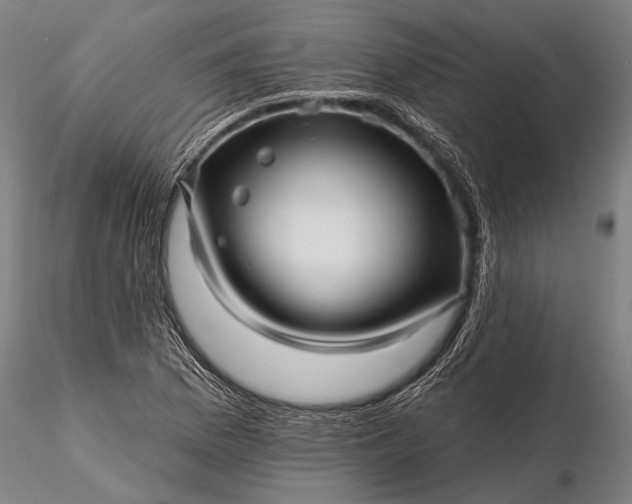 X0000116301169200912141328