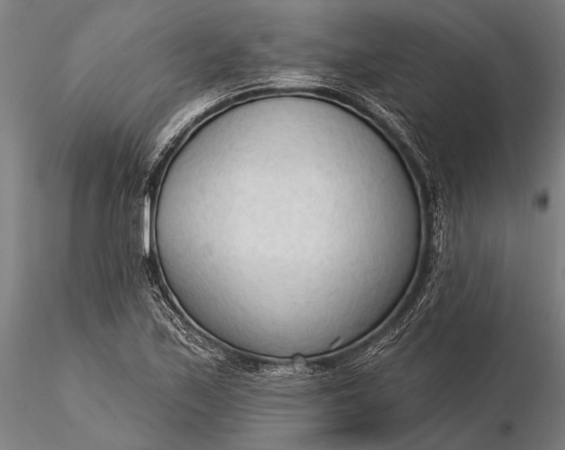 X0000116301171200912141328