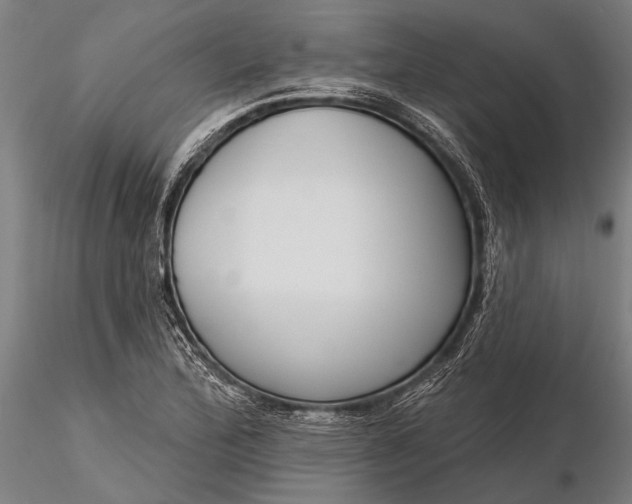 X0000116301172200912141328