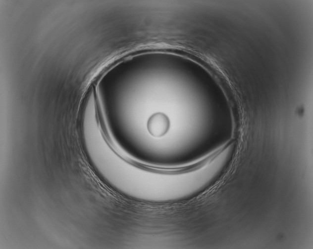 X0000116301173200912141328