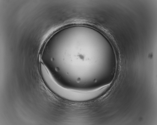 X0000116301175200912141328