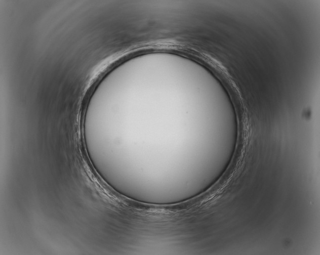 X0000116301176200912141328