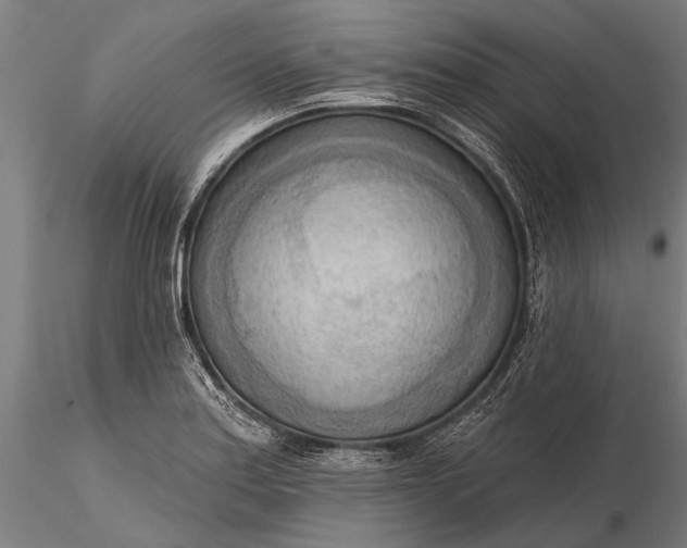 X0000116301179200912141328