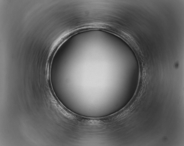 X0000116301180200912141328