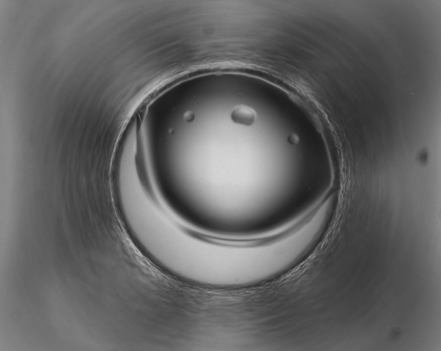 X0000116301181200912141328