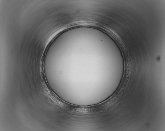 X0000116301182200912141328