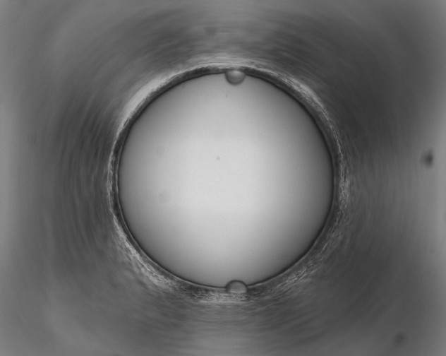 X0000116301183200912141328