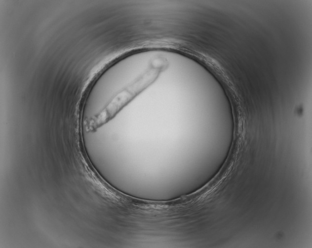 X0000116301184200912141328