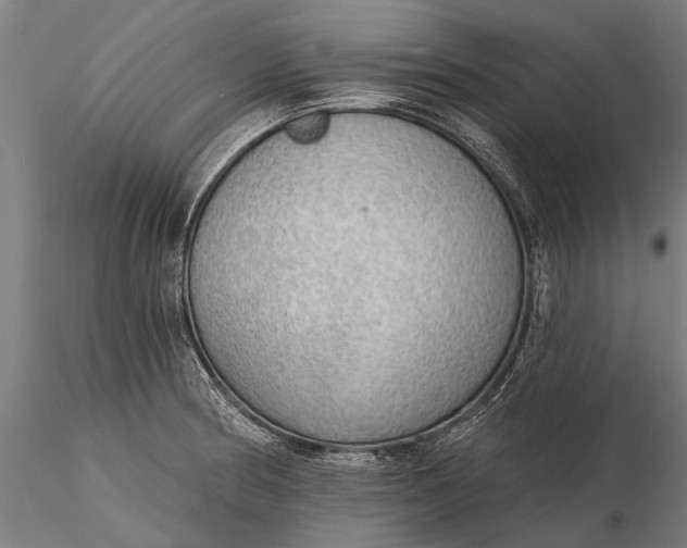 X0000116301186200912141328