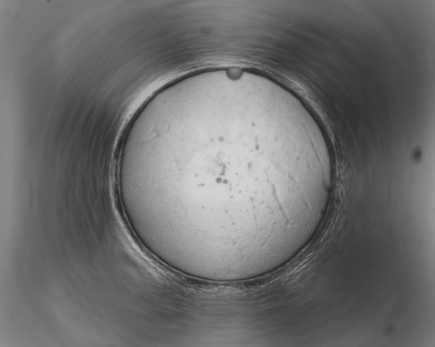 X0000116301187200912141328