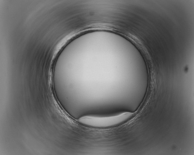 X0000116301188200912141328