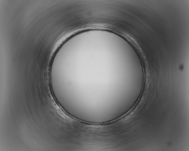 X0000116301192200912141328