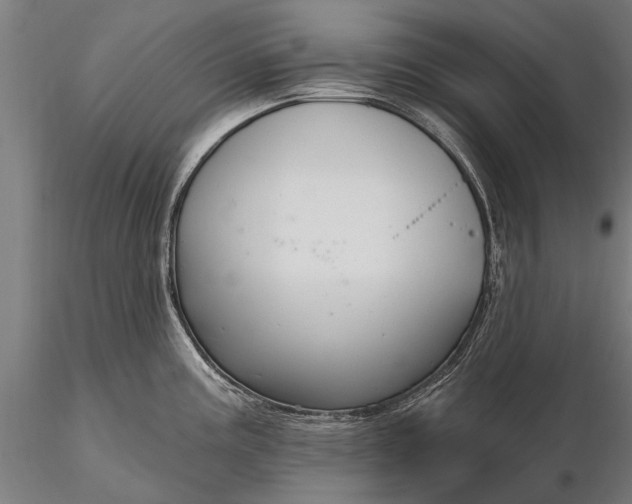 X0000116301195200912141328