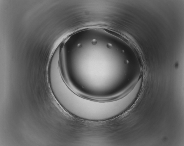 X0000116301196200912141328