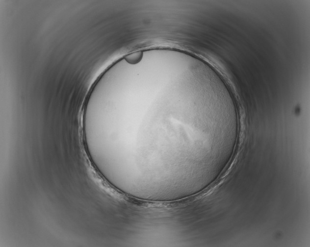 X0000116301198200912141328