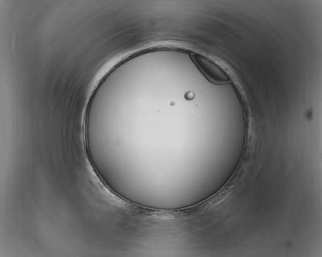 X0000116301199200912141328