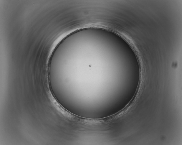 X0000116301200200912141328