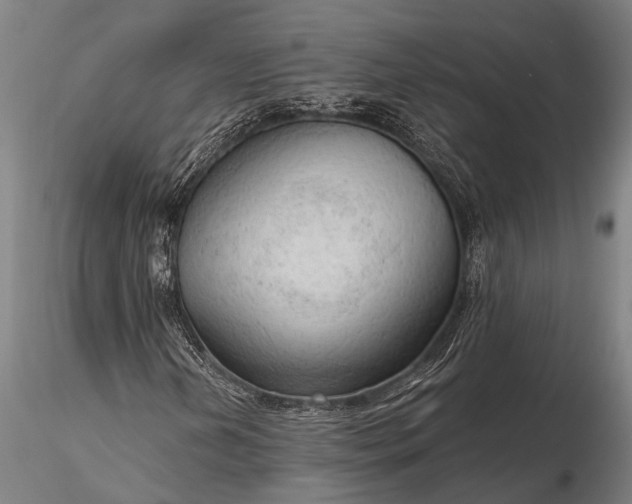 X0000116301202200912141327