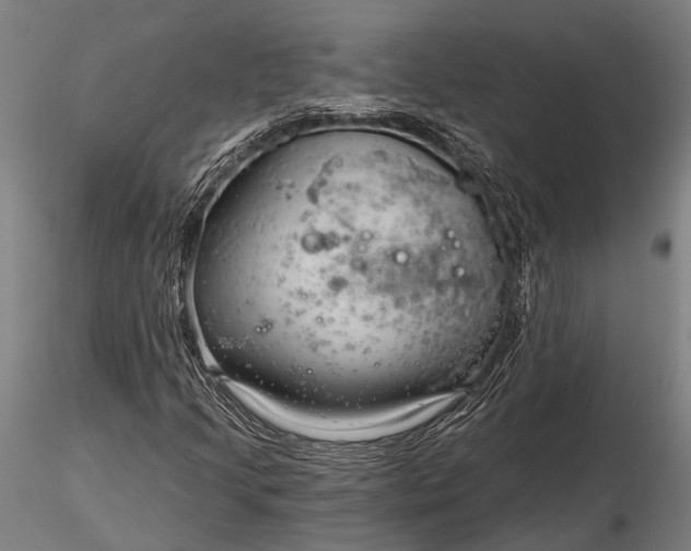 X0000116301205200912141327