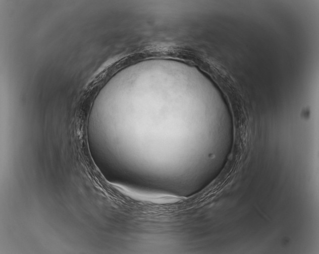 X0000116301206200912141327