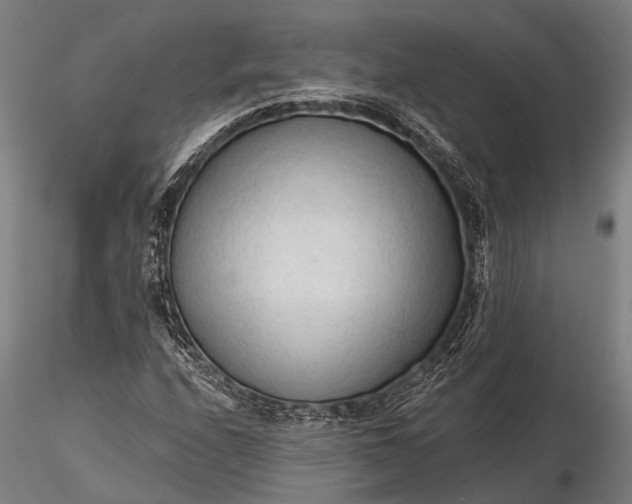 X0000116301208200912141327